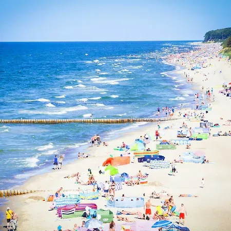 Апартаменты Klifowa 11 *